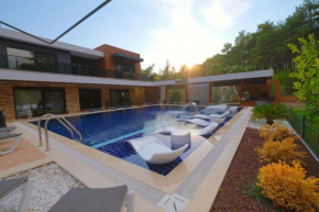 10 PERSON EXCLUSIVE VILLA in ANTALYA OLYMPOS